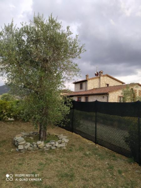 la Casa degli olivi